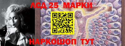 гидропоника Бийск