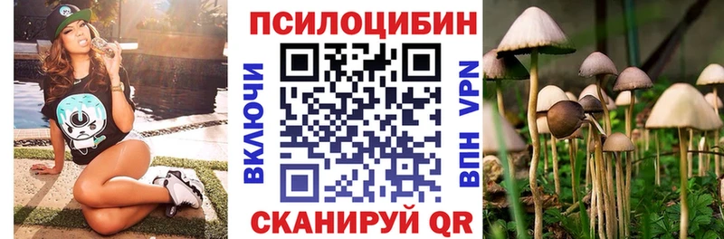 Псилоцибиновые грибы Psilocybe  KRAKEN ссылки  Дзержинский  купить наркотики сайты 