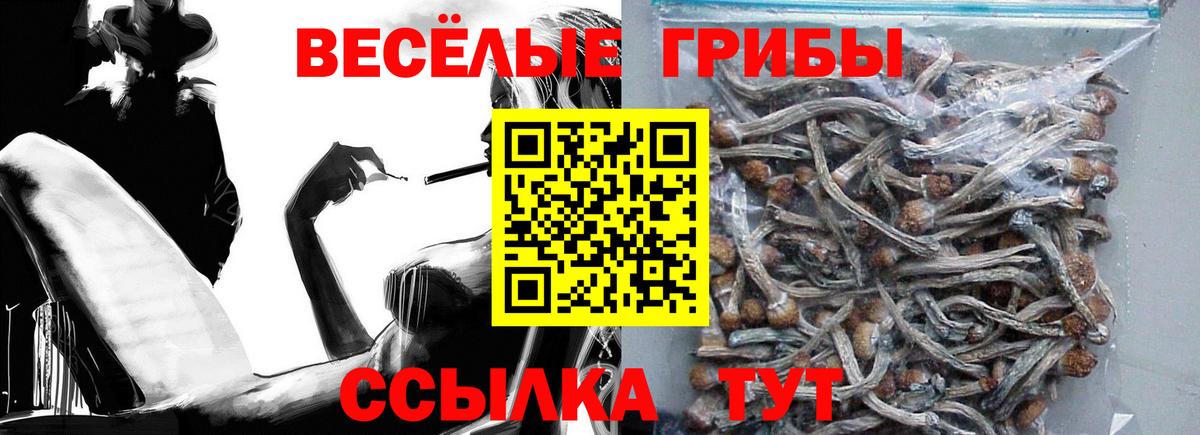 Альфа ПВП Дзержинский