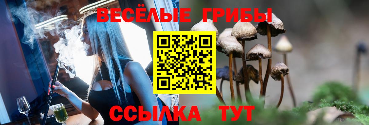 Дзержинский  Галлюциногенные грибы GOLDEN TEACHER  где найти наркотики  Вход с VPN 