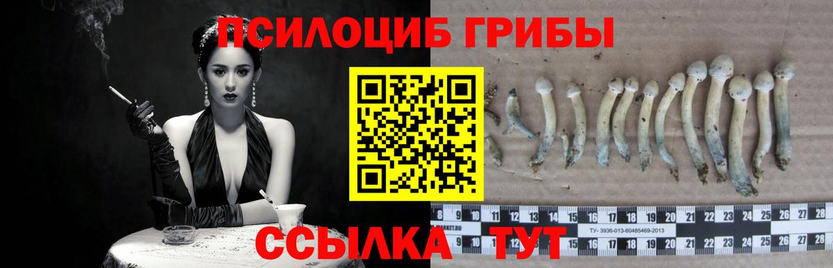 Псилоцибиновые грибы мухоморы Дзержинский